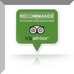 Tripadvisor